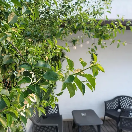 Casa Montefinese Privatunterkunft Casamassima