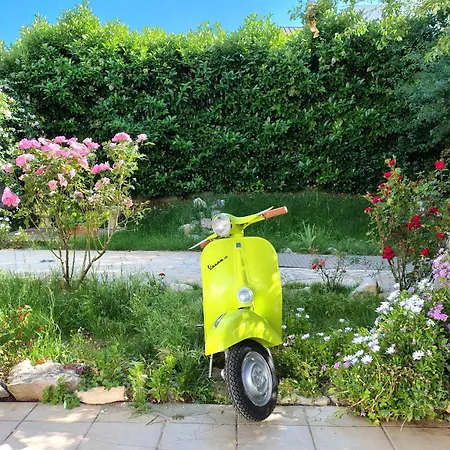 Accommodatie bij particulieren Casa Montefinese